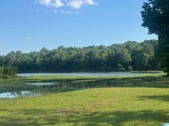 1525 CHELSEA ROAD, Columbiana, AL 35051