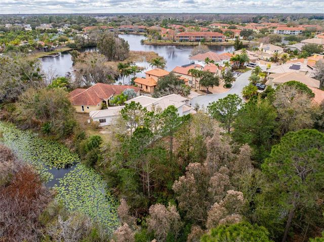 21150 LOS CABOS COURT, Land O Lakes, FL 34637