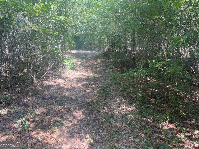 299 South L Street, Pine Mountain Valley, GA 31823