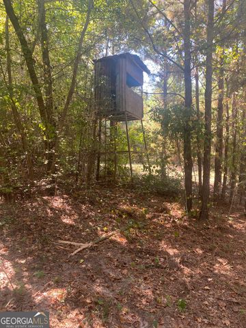 299 South L Street, Pine Mountain Valley, GA 31823