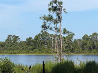 TBD MALAUKA RADIAL, Ocklawaha, FL 32179