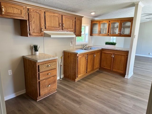 1319 Nicole Lane, Sandwich, IL 60548