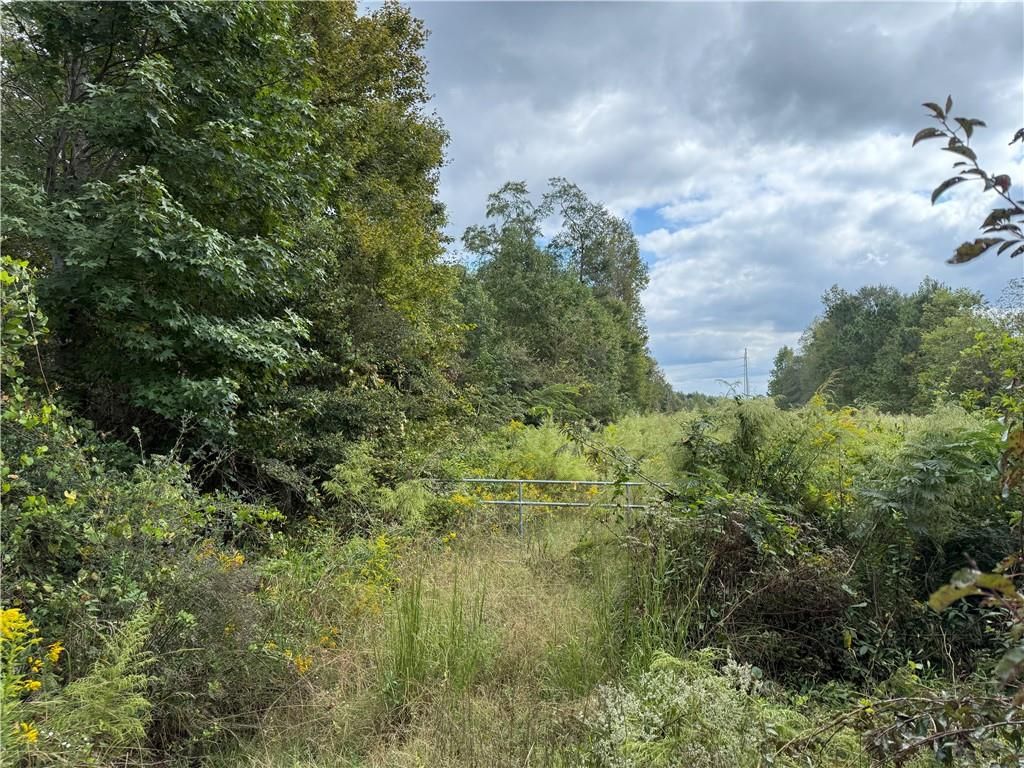 0 Magnolia Avenue, Bowdon, GA 30108