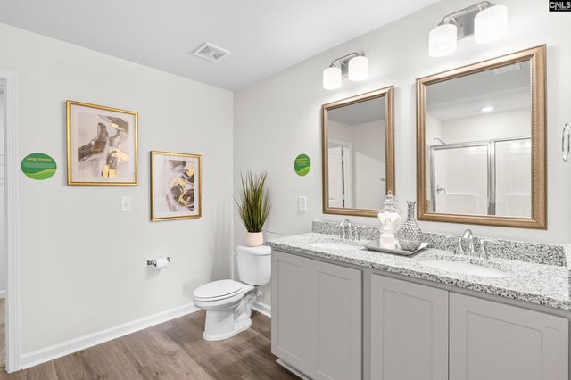 172 Calm Citadel Drive, Pelion, SC 29123