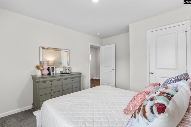 172 Calm Citadel Drive, Pelion, SC 29123