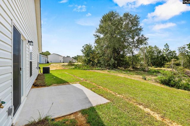 172 Calm Citadel Drive, Pelion, SC 29123