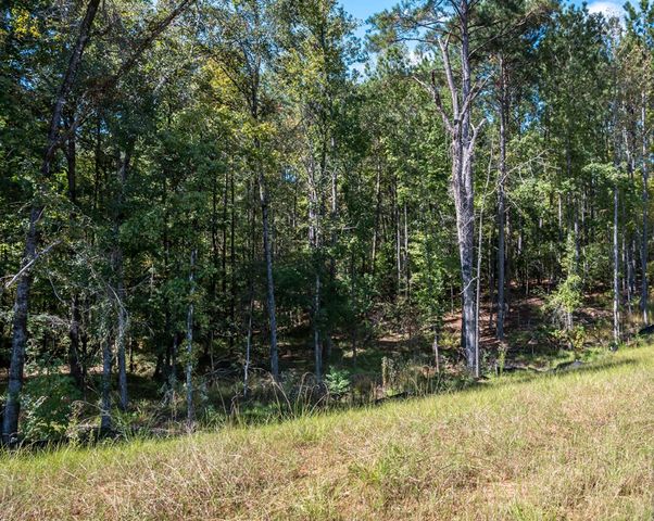 8825 Creekrise Drive, Columbus, GA 31904