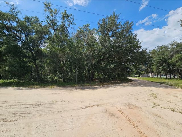 SE 171ST LANE, Weirsdale, FL 32195