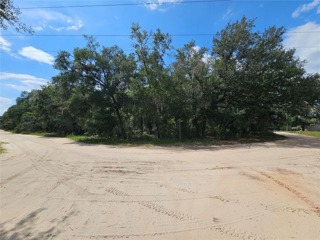 SE 171ST LANE, Weirsdale, FL 32195