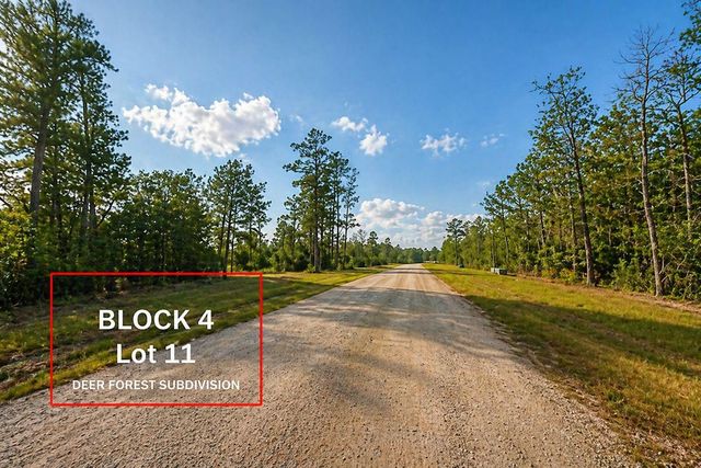 305 Iron Horse Road, Willis, TX 77378