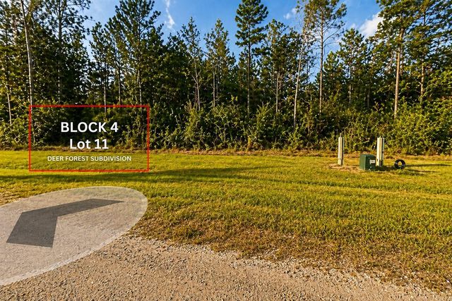 305 Iron Horse Road, Willis, TX 77378