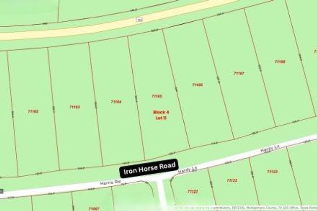 305 Iron Horse Road, Willis, TX 77378