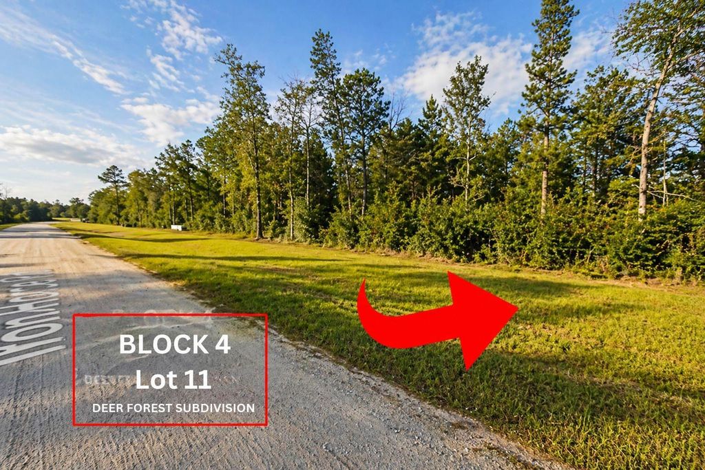 305 Iron Horse Road, Willis, TX 77378