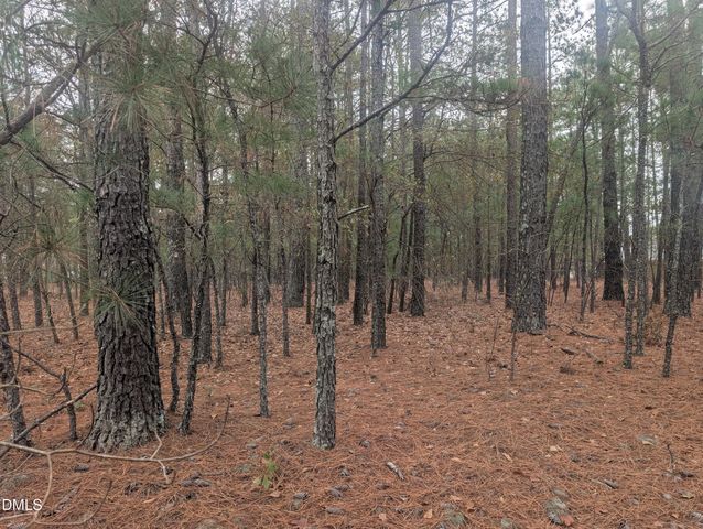 13 Saw Grass Road, Eagle Springs, NC 27242