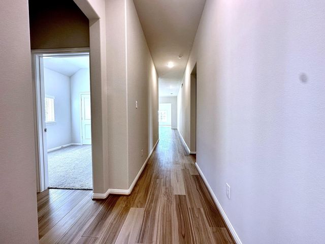 1207 Tessa Forest Court, Conroe, TX 77301