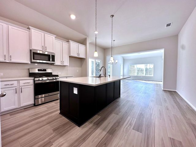1207 Tessa Forest Court, Conroe, TX 77301