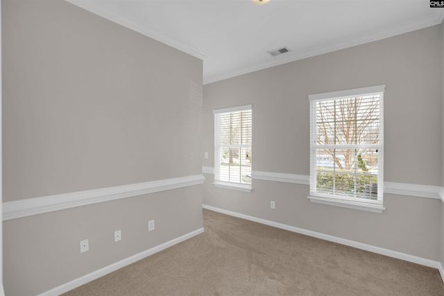 113 blue mountain Drive, Irmo, SC 29063