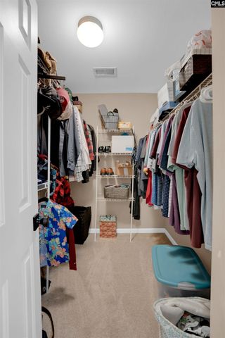 113 blue mountain Drive, Irmo, SC 29063