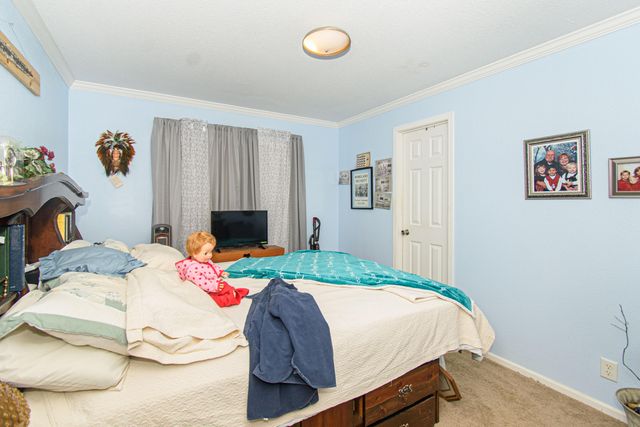 162 Mountain Laurel WAY NE, Check, VA 24072