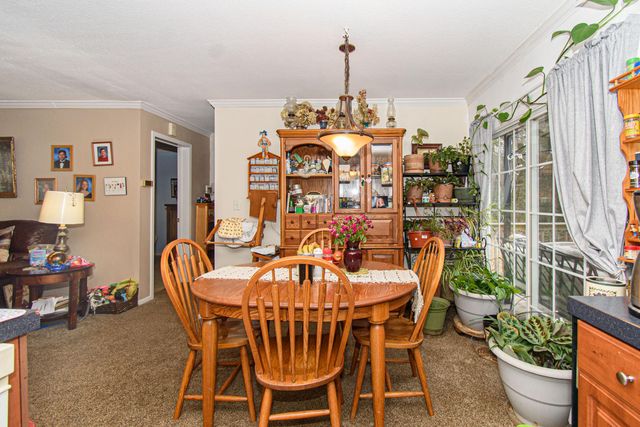 162 Mountain Laurel WAY NE, Check, VA 24072
