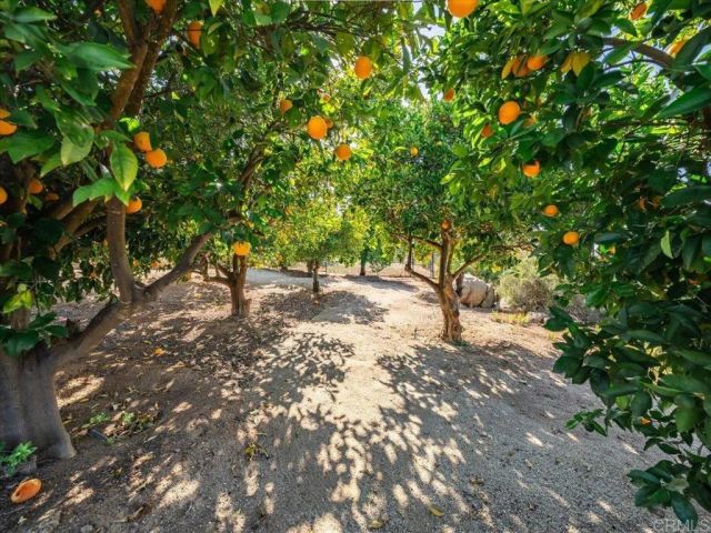 23786 Moonglow Court, Ramona, CA 92065