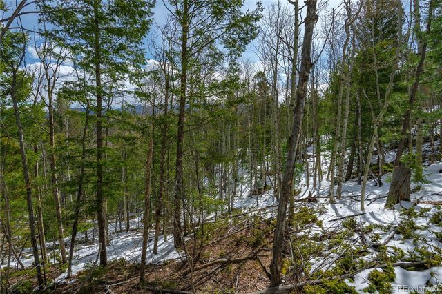 224 Deadwood Road, Cripple Creek, CO 80813