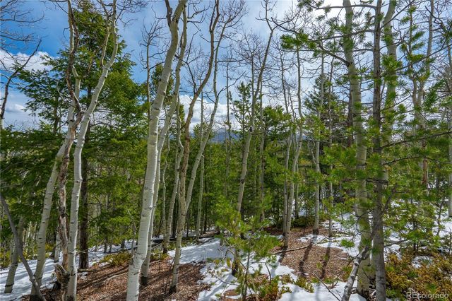 224 Deadwood Road, Cripple Creek, CO 80813