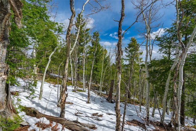 224 Deadwood Road, Cripple Creek, CO 80813
