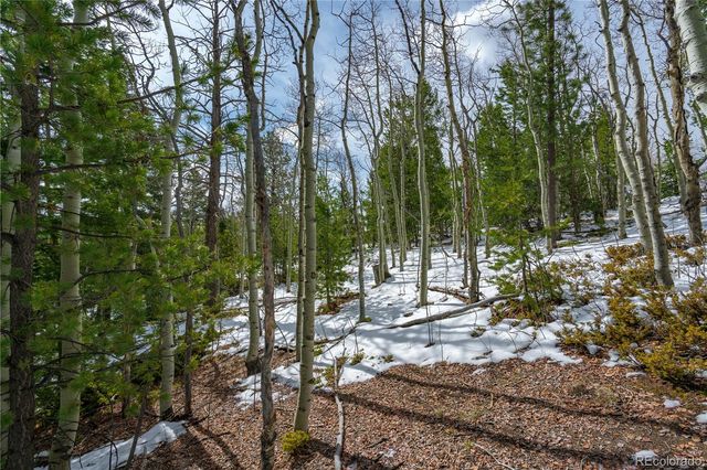 224 Deadwood Road, Cripple Creek, CO 80813