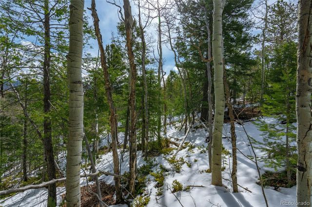 224 Deadwood Road, Cripple Creek, CO 80813