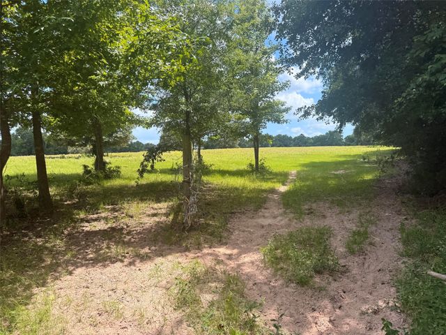 5767 Fm 2339, Murchison, TX 75778