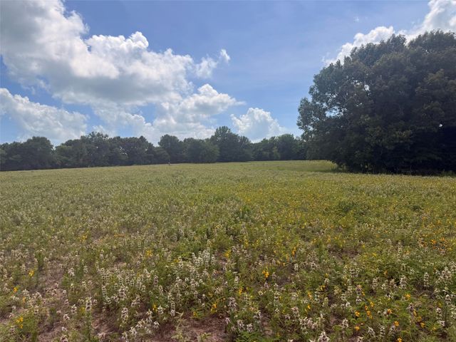 5767 Fm 2339, Murchison, TX 75778