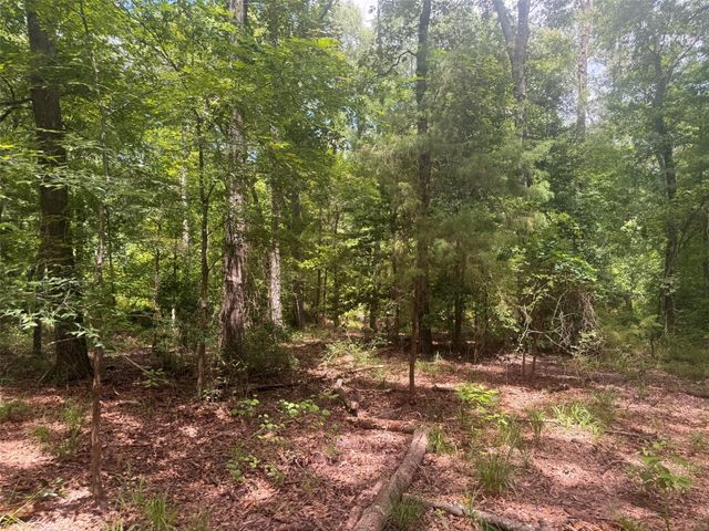 5767 Fm 2339, Murchison, TX 75778