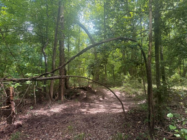 5767 Fm 2339, Murchison, TX 75778