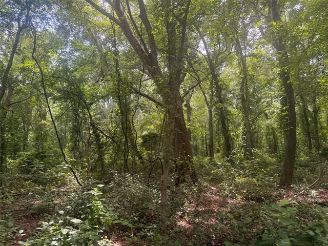 5767 Fm 2339, Murchison, TX 75778