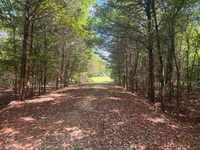 5767 Fm 2339, Murchison, TX 75778