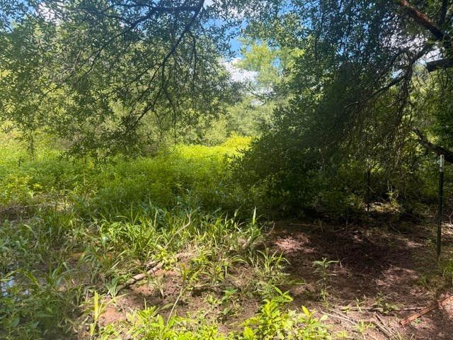 5767 Fm 2339, Murchison, TX 75778