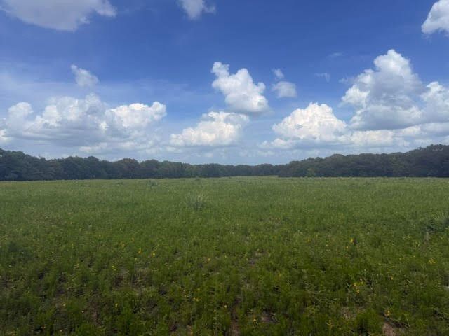 5767 Fm 2339, Murchison, TX 75778