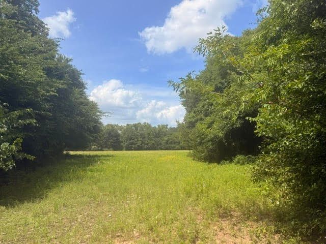 5767 Fm 2339, Murchison, TX 75778