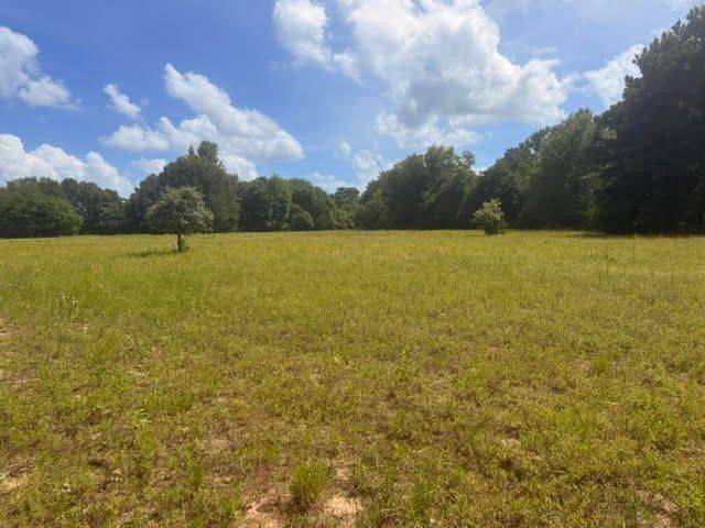 5767 Fm 2339, Murchison, TX 75778