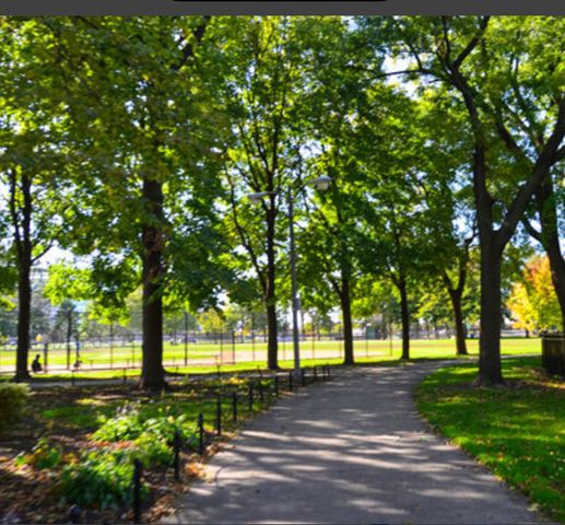 3213 S Wells Street 1, Chicago, IL 60616