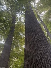 Lot 3 Edgewood Road, Wilkesboro, NC 28697