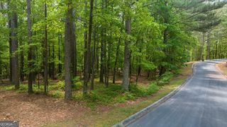 0 Golden Delicious Road, Clarkesville, GA 30523