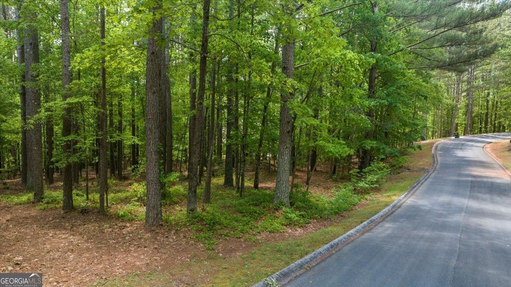 0 Golden Delicious Road, Clarkesville, GA 30523 — exterior