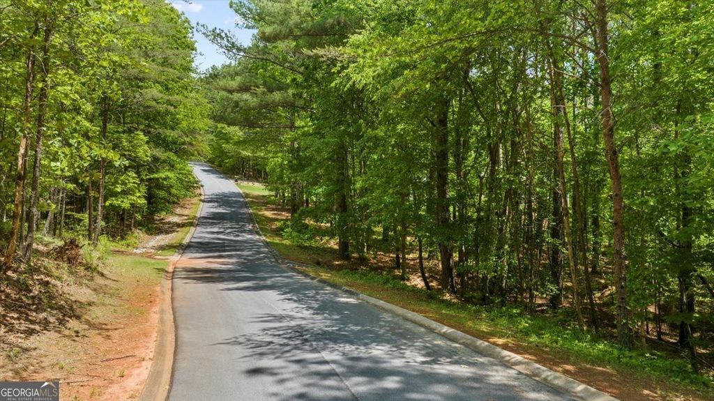 0 Golden Delicious Road, Clarkesville, GA 30523 — photo 2