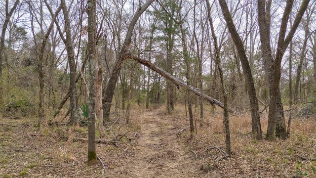 1411 Van Zandt County Road 2139, Wills Point, TX 75103