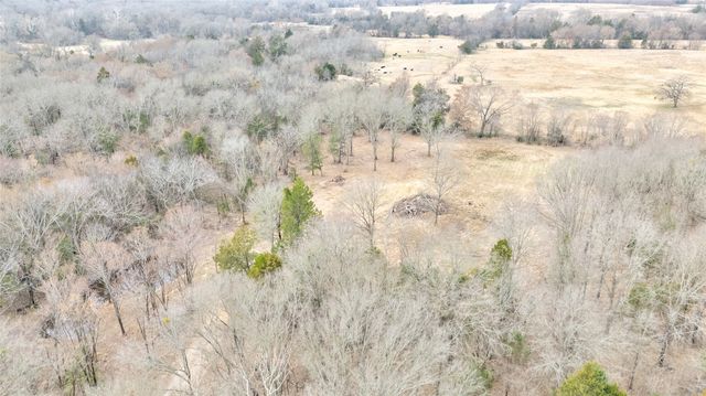 1411 Van Zandt County Road 2139, Wills Point, TX 75103