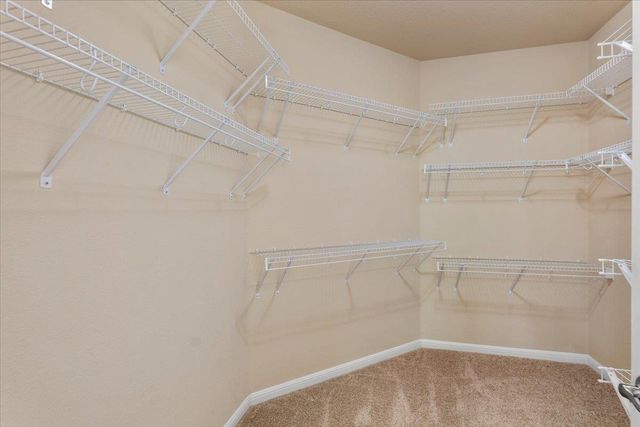 3451 Mayfield Ranch BLVD 311, Round Rock, TX 78681