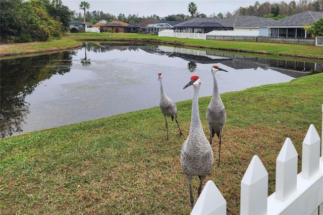 31203 HANNIGAN PLACE, Wesley Chapel, FL 33543