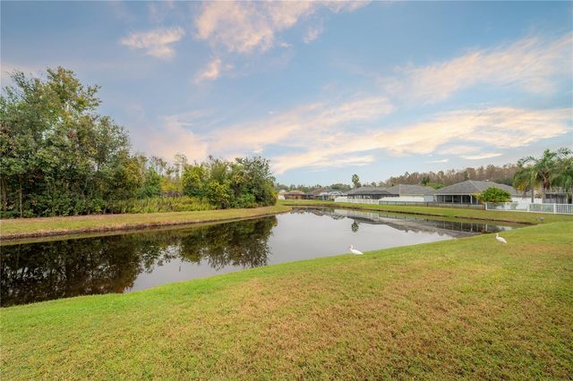 31203 HANNIGAN PLACE, Wesley Chapel, FL 33543